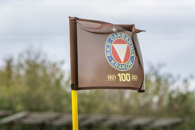 我们所看到 我们所看到