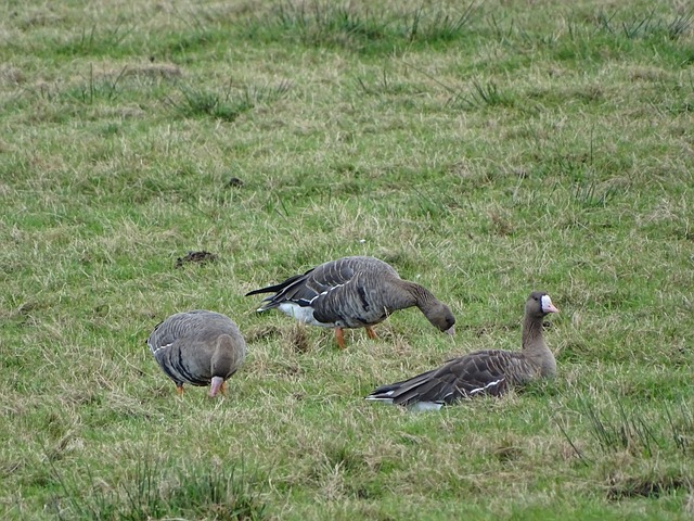 回顾上一场 回顾上一场